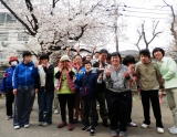 品川区立心身障害者福祉会館 桜の前で